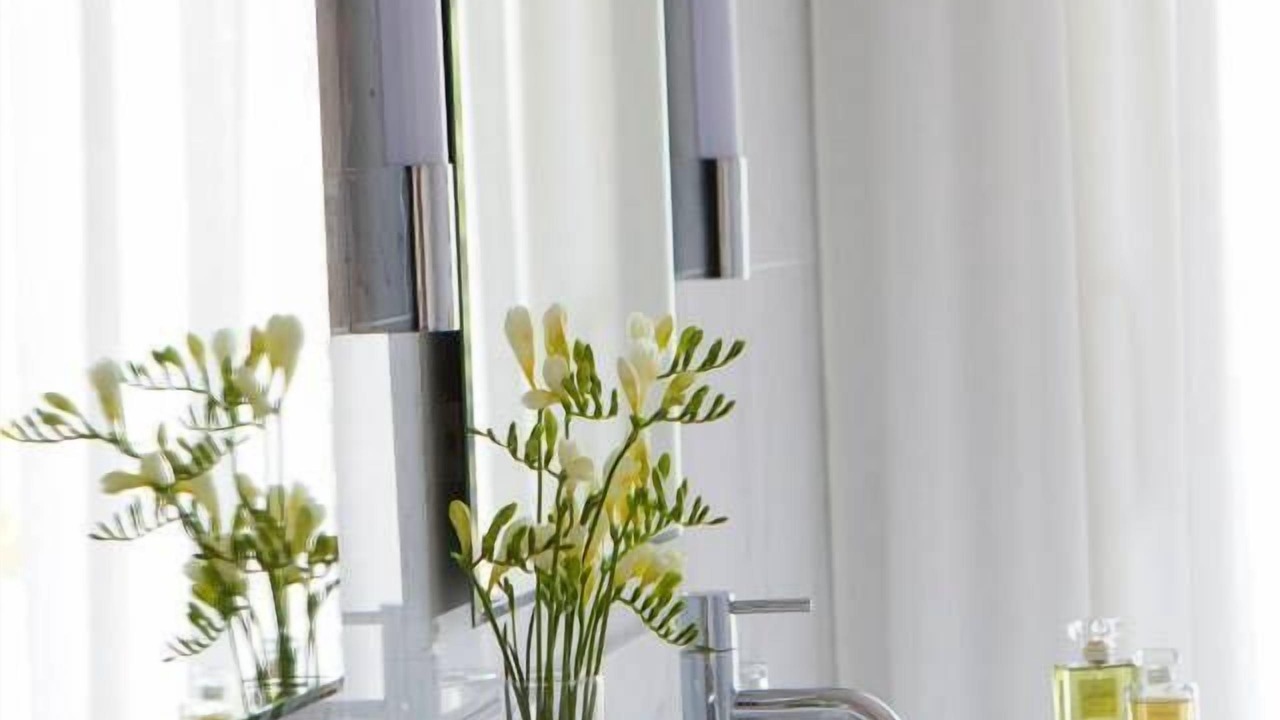 Photo of Bathroom in Calvi