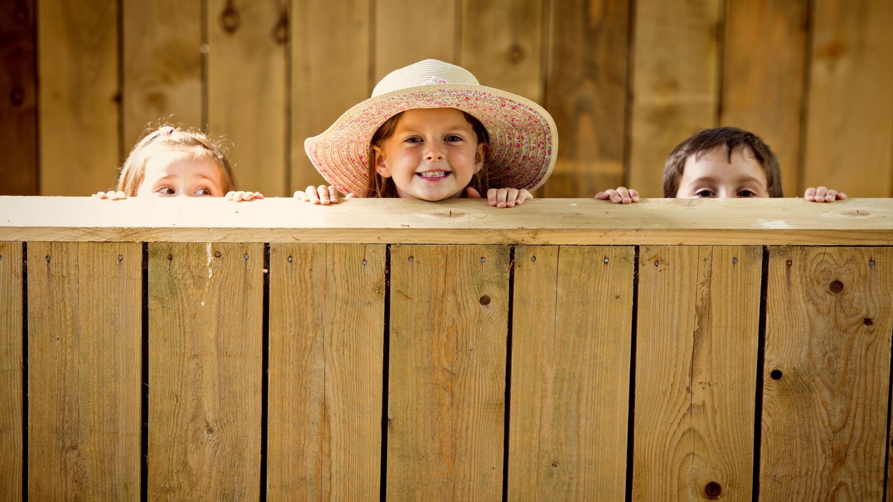 Photo of Others in New Forest District