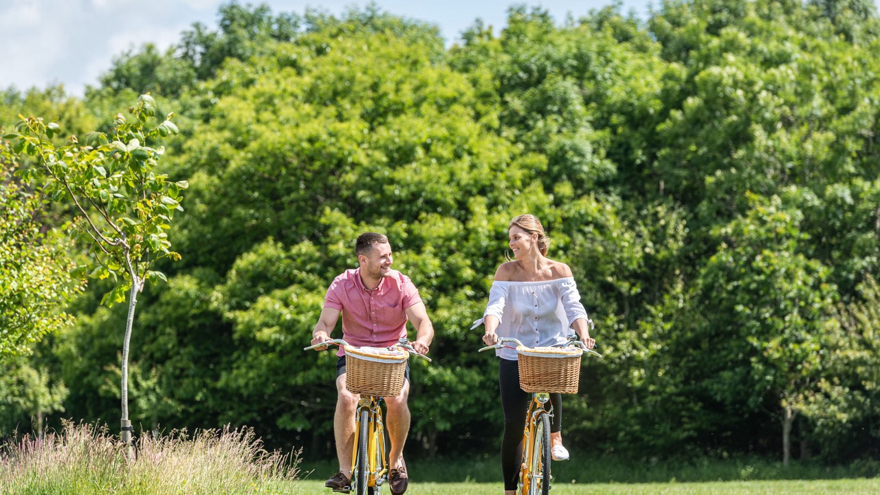 Photo of Outdoor in New Forest District