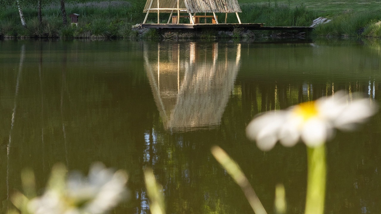 Photo of Outdoor in Nieul