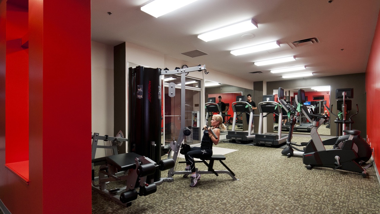 Photo of Others in Byward Market - Parliament Hill