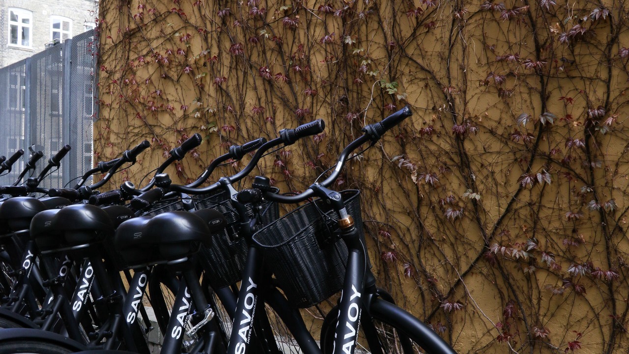 Photo of Outdoor in København V