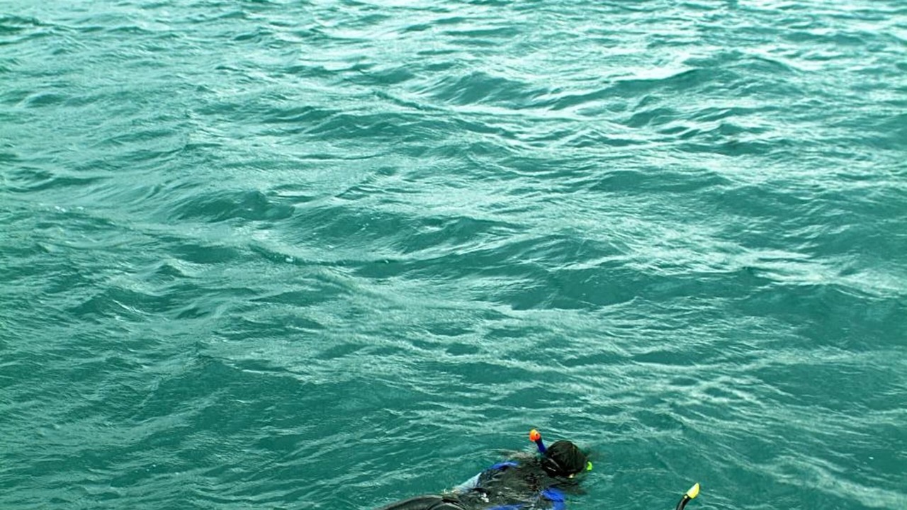 Photo of Others in Manado