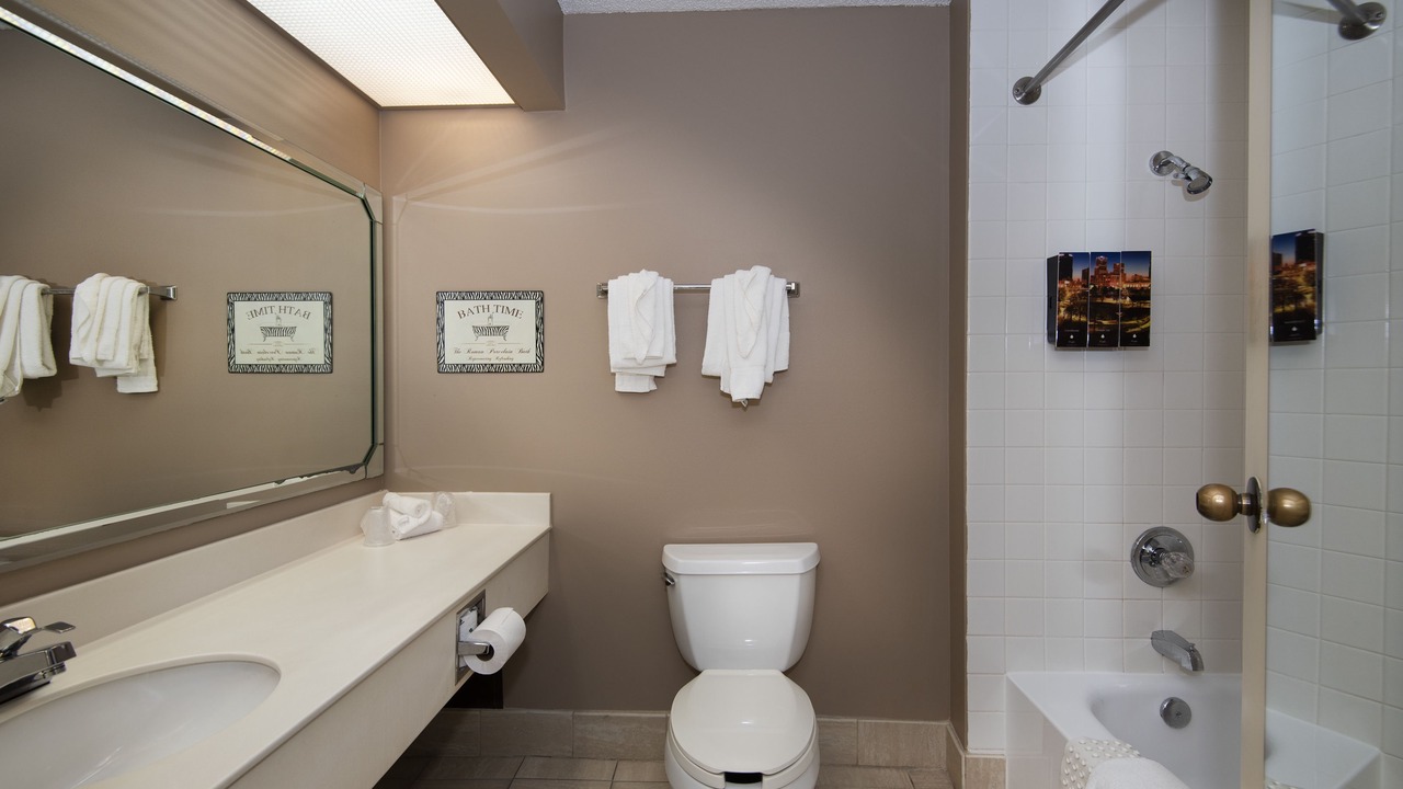 Photo of Bathroom in Little Rock Medical District