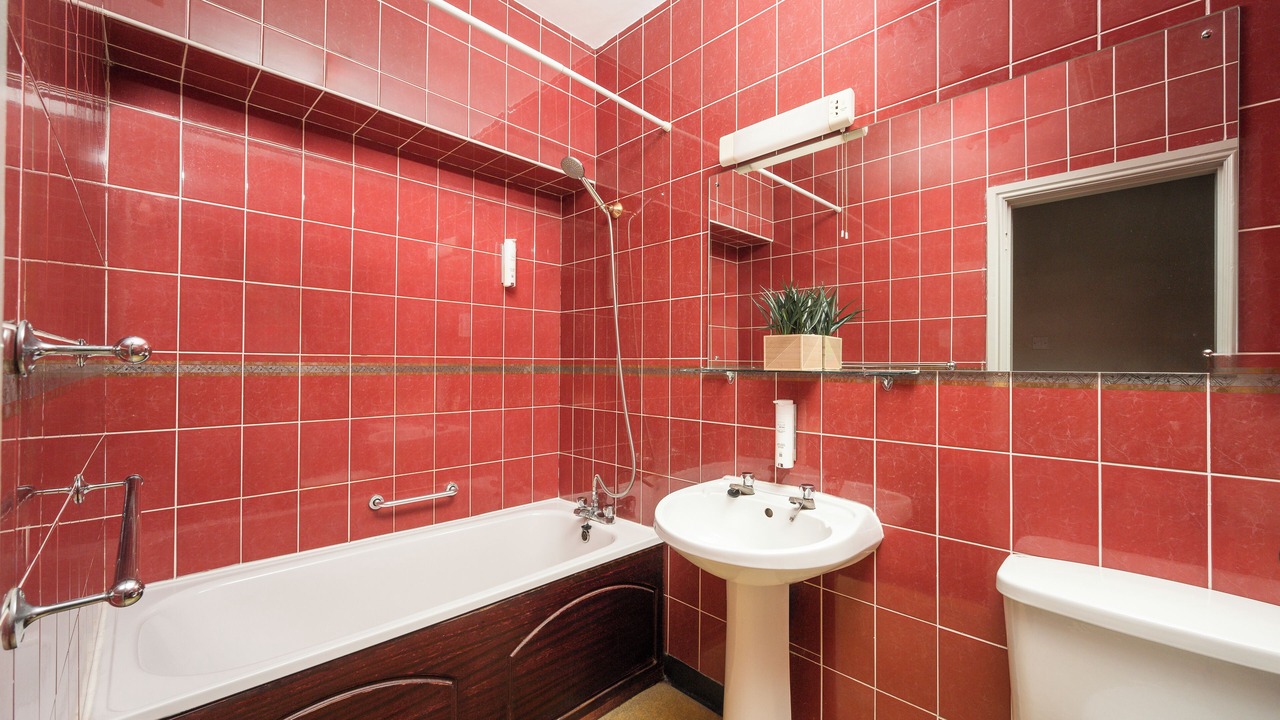 Photo of Others in Carlisle