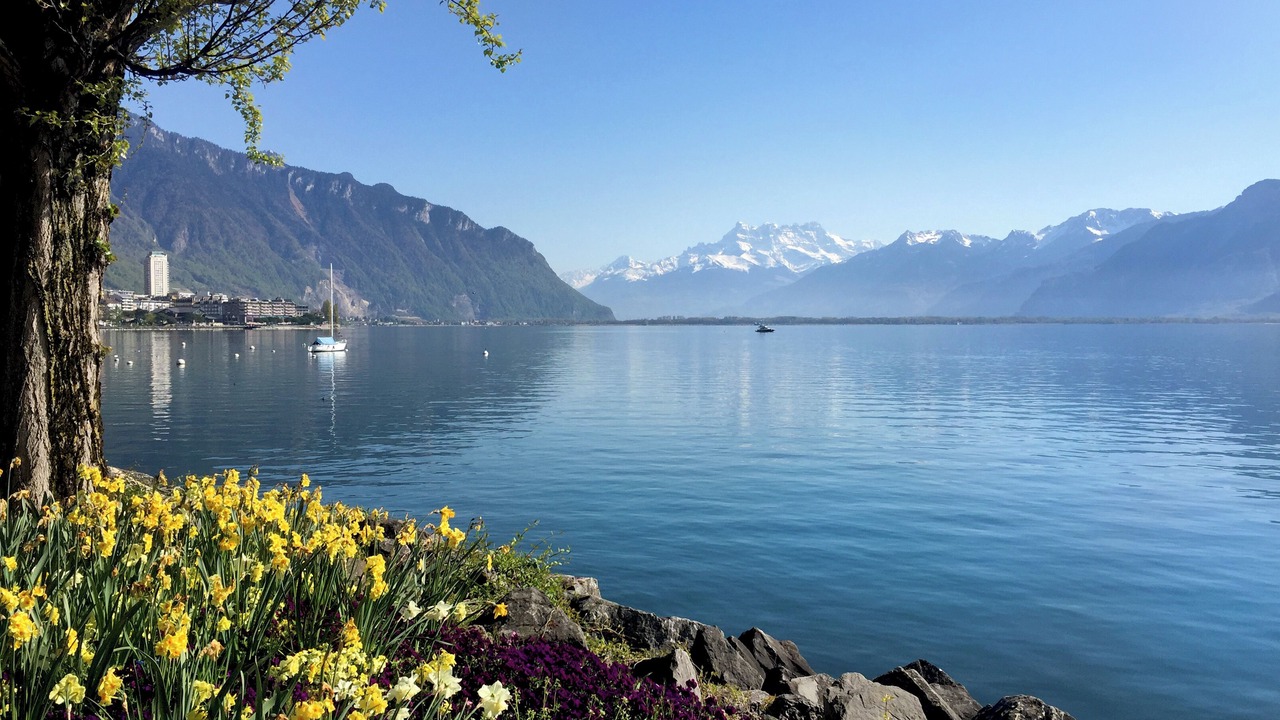 Photo of Outdoor in Montreux City Centre