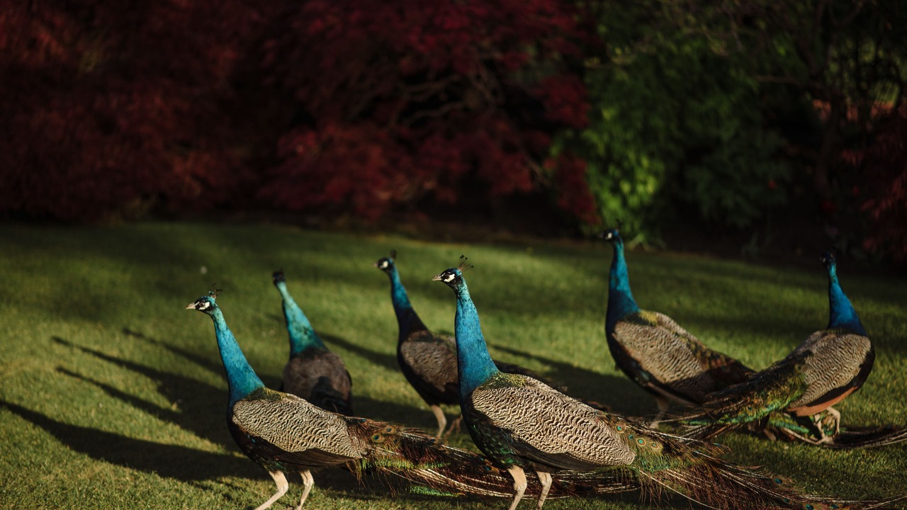 Photo of Outdoor in Prestonfield