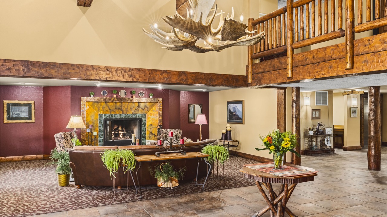 Photo of Others in Hamilton