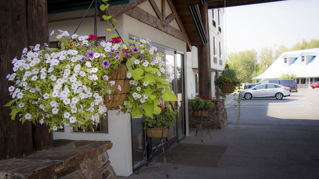 Photo of Outdoor in Hamilton