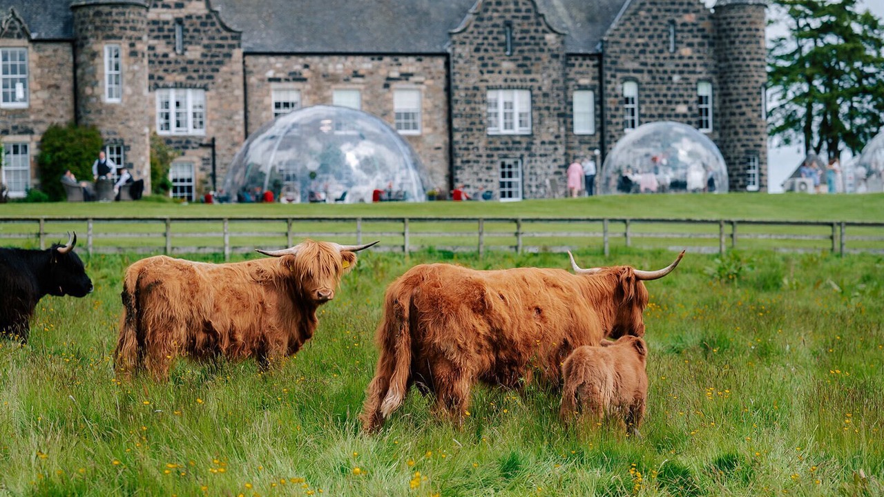 Photo of Outdoor in Oldmeldrum