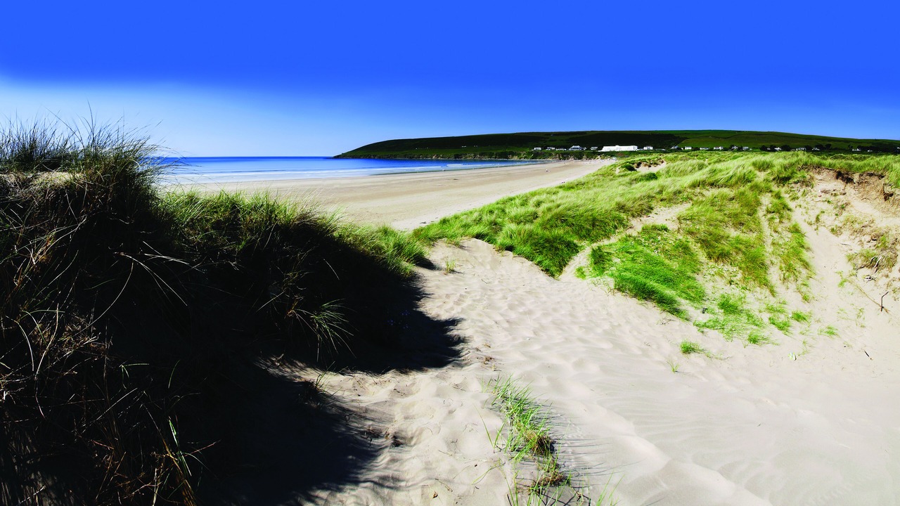 Photo of Others in Barnstaple