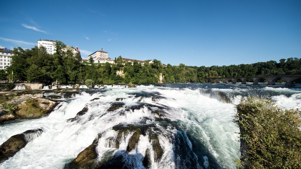 Photo of Others in Schaffhausen