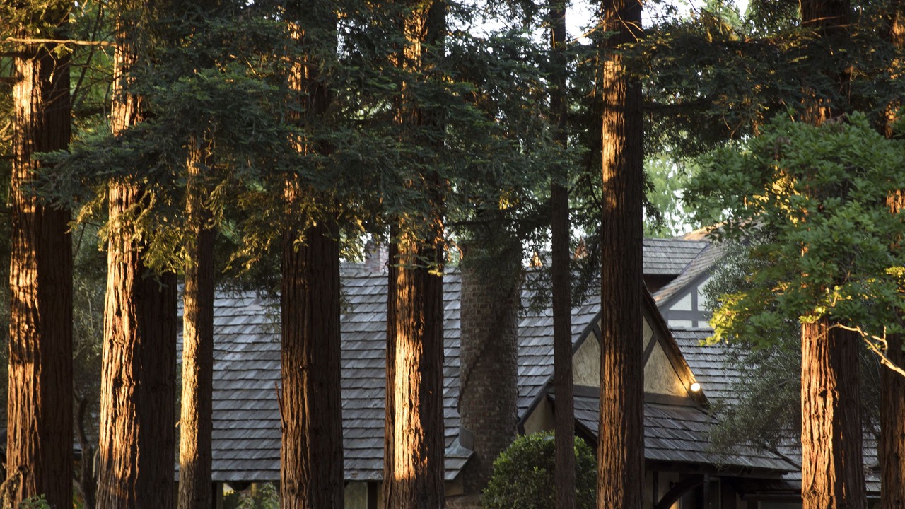Photo of Outdoor in St. Helena