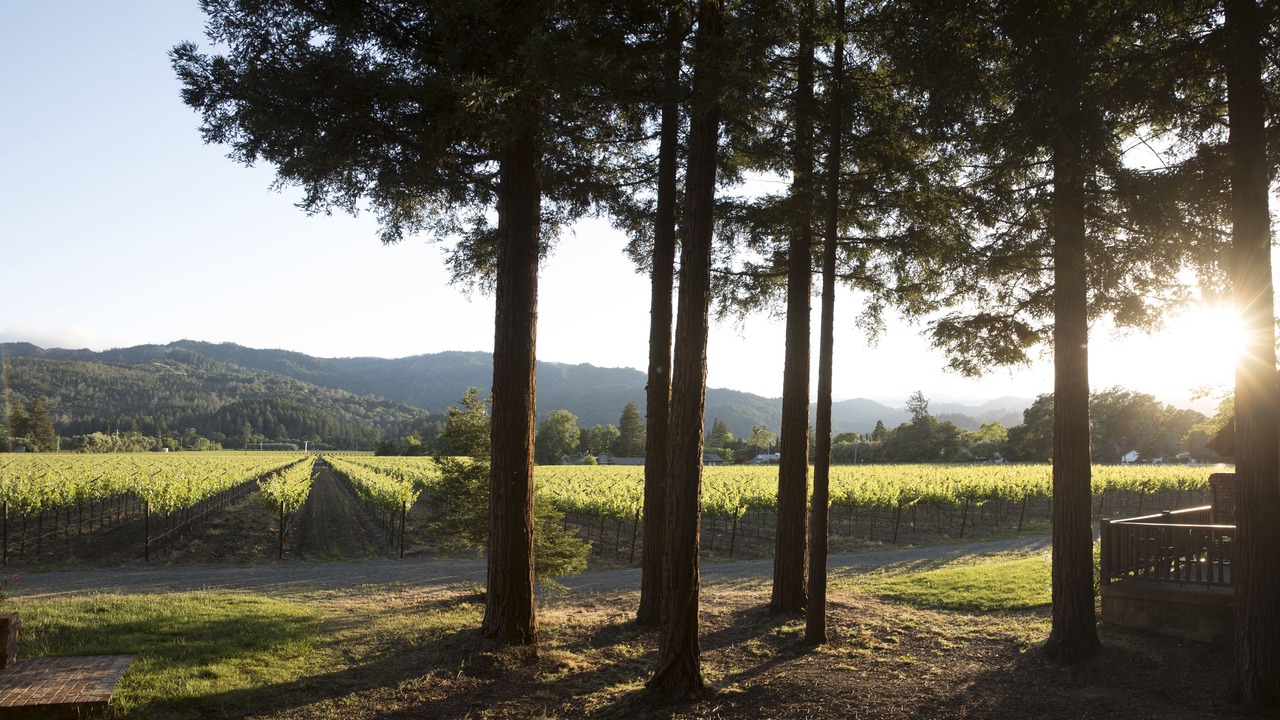Photo of Outdoor in St. Helena