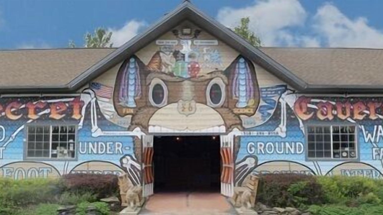 Photo of Others in Central Bridge