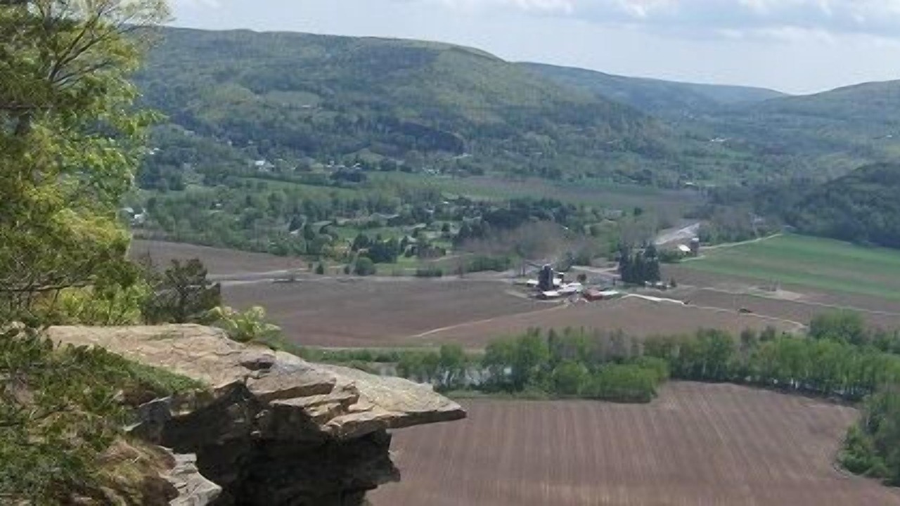 Photo of Others in Central Bridge