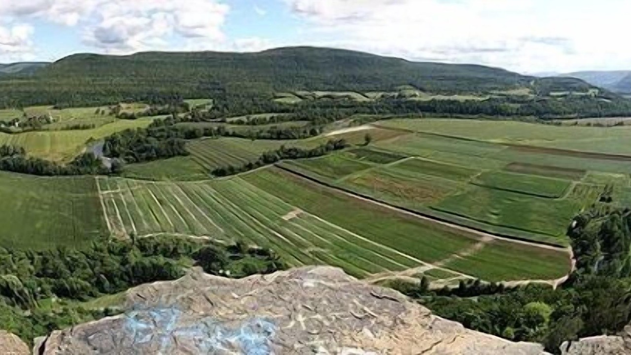 Photo of Others in Central Bridge