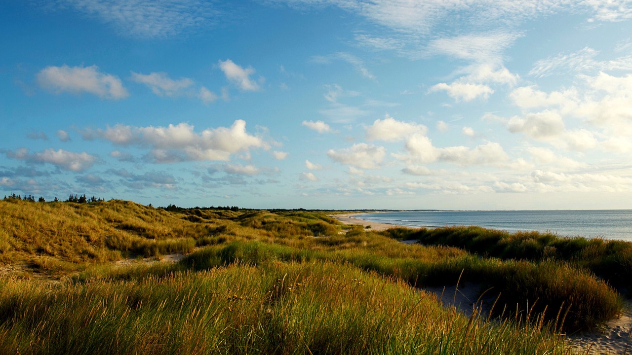 Photo of Others in Aalbaek