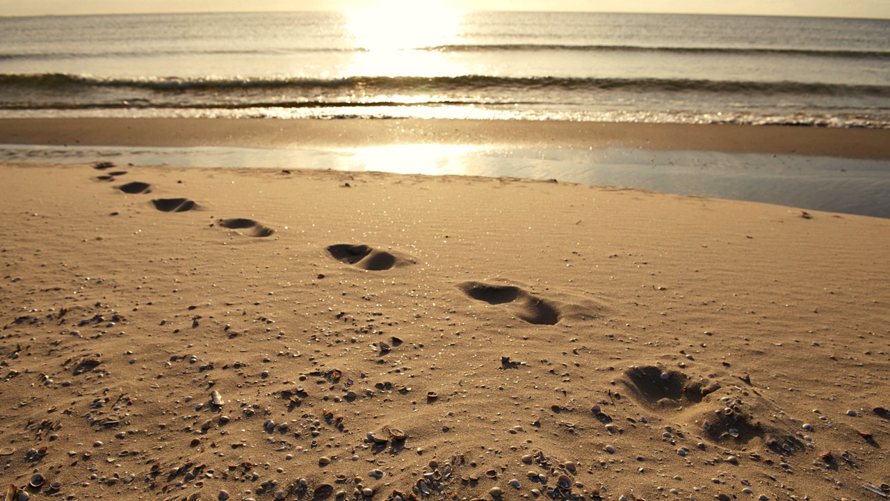 Photo of Others in Aalbaek