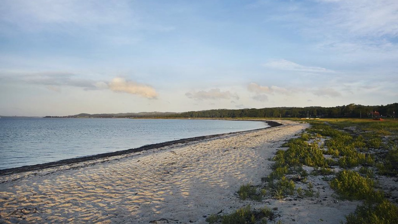 Photo of Others in Lyngsbæk Strand