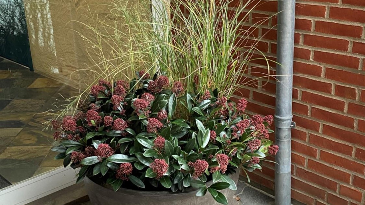 Photo of Outdoor in Brande