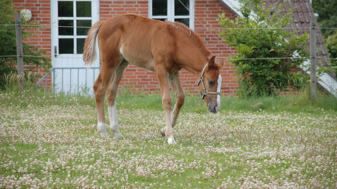 Photo of Outdoor in Gjerrild
