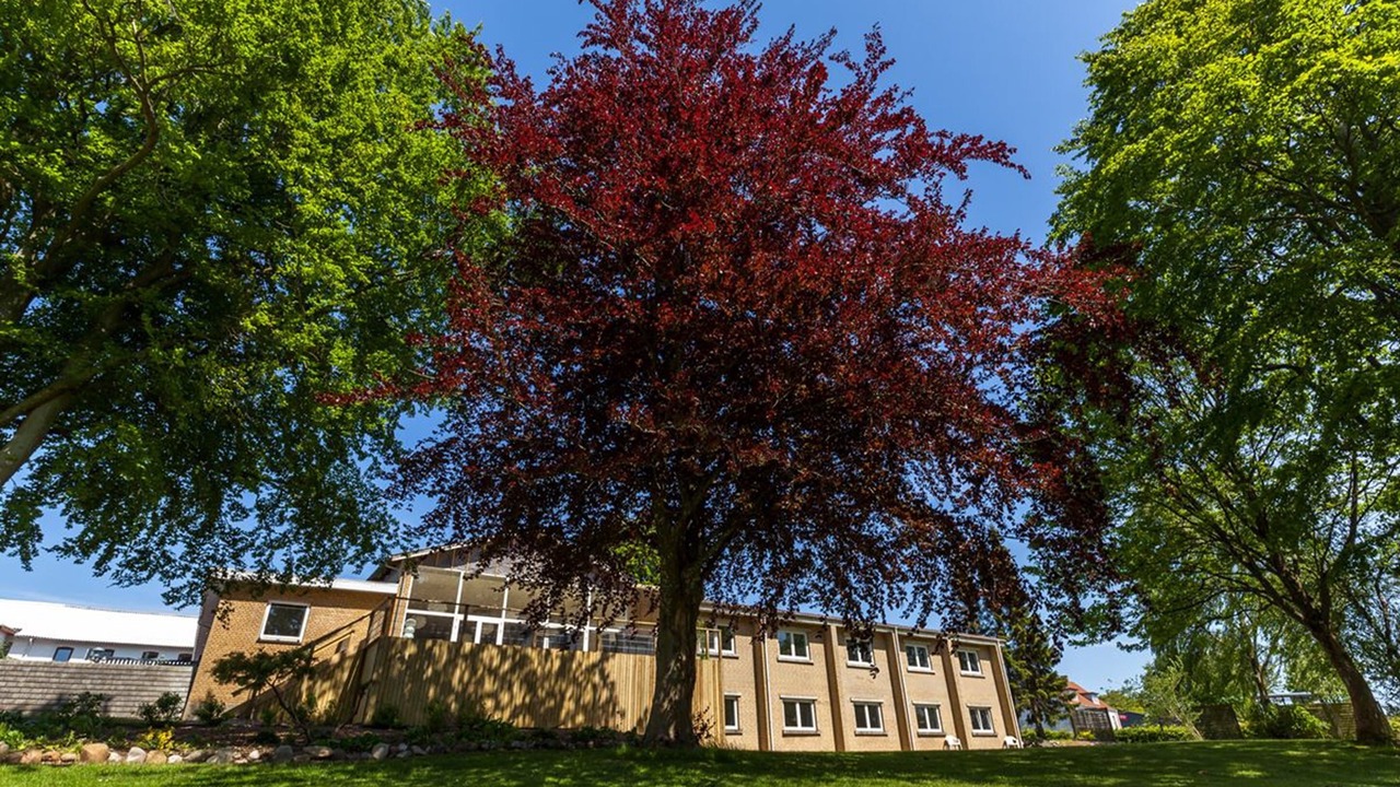 Photo of Outdoor in Sonder Omme