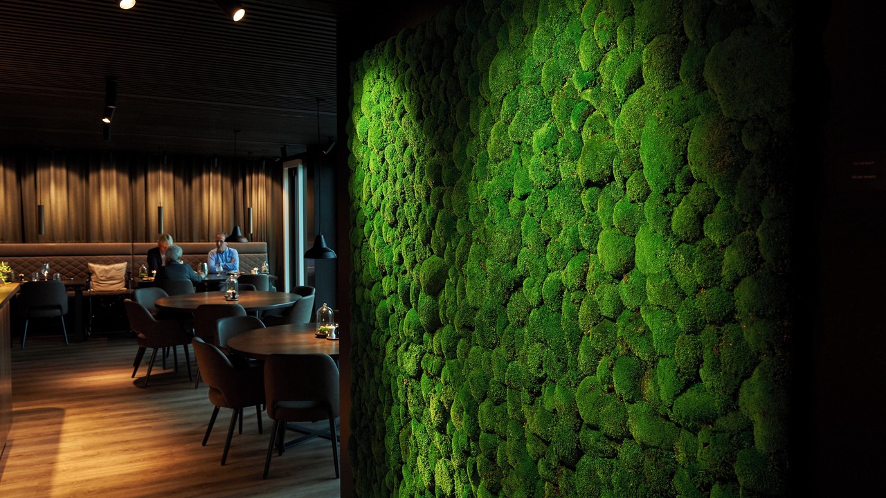 Photo of Others in Vejle