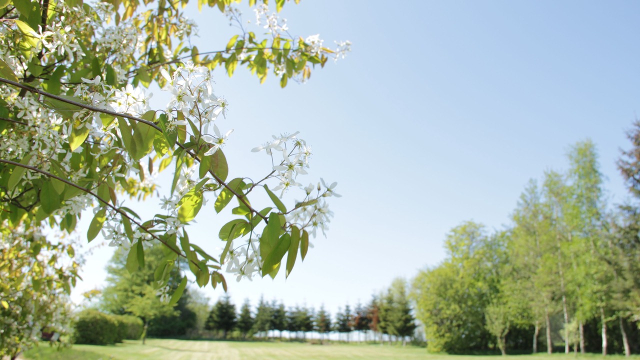 Photo of Outdoor in Lasby
