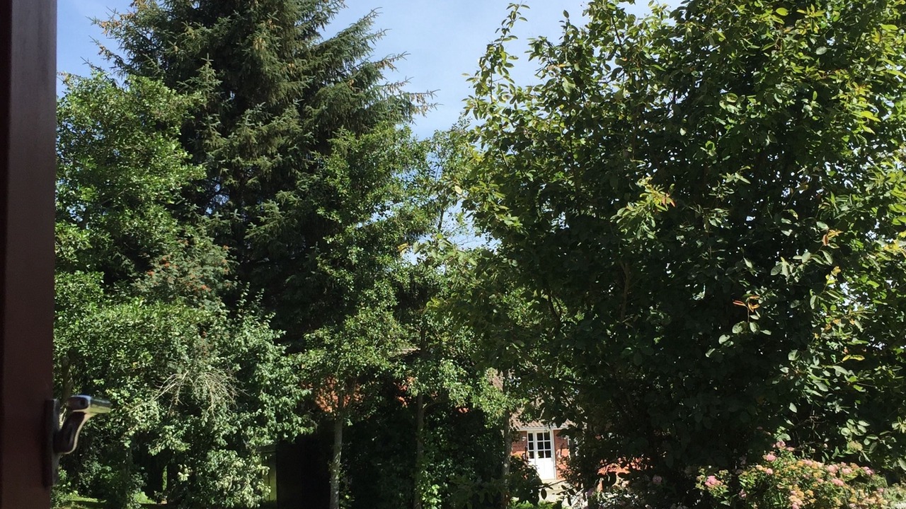 Photo of Outdoor in Lasby