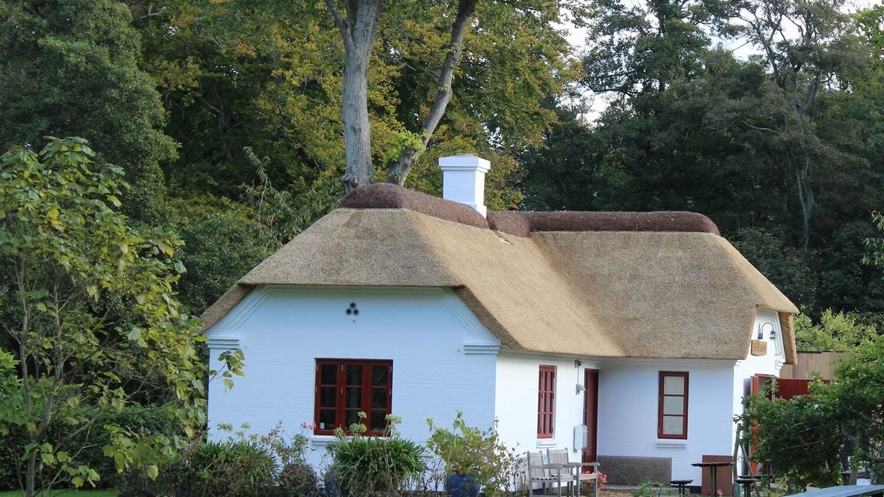 Photo of Outdoor in Frederikshavn