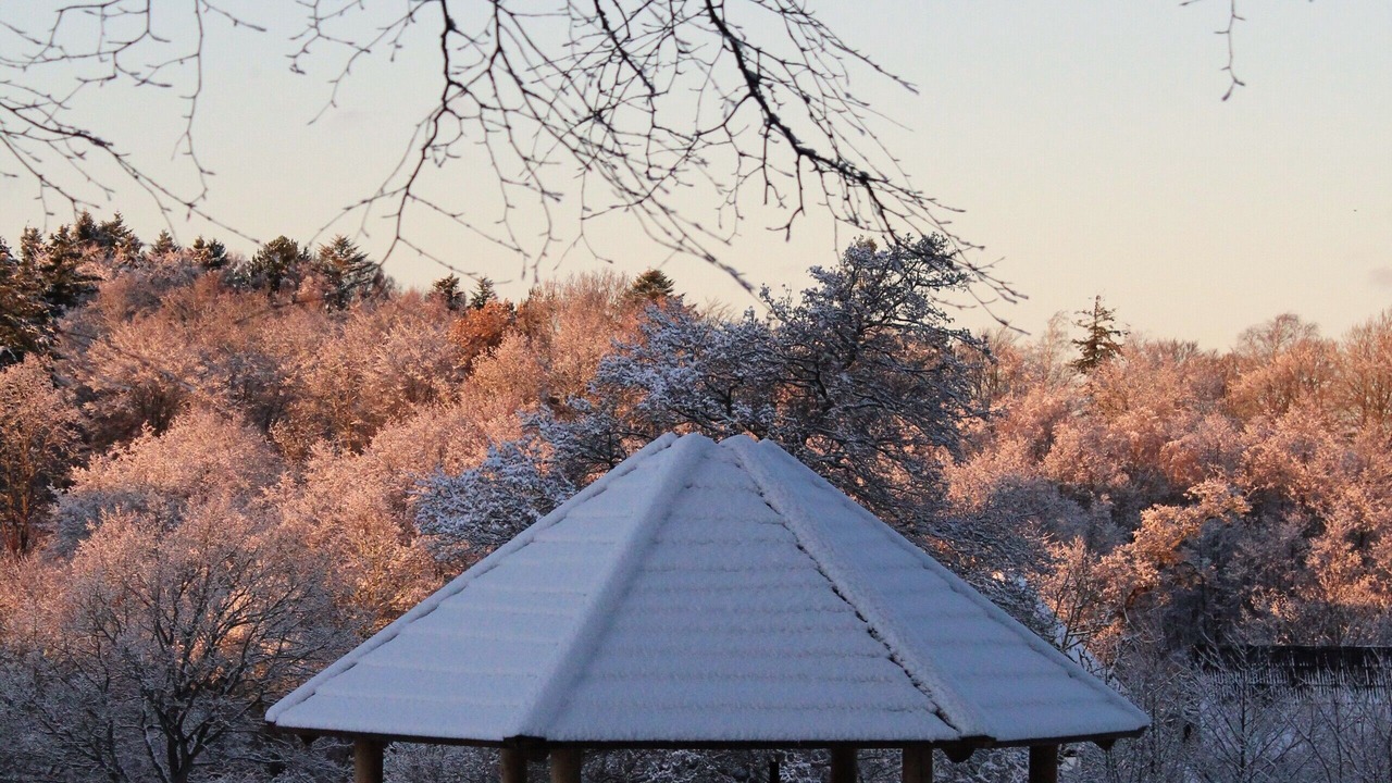 Photo of Outdoor in Frederikshavn