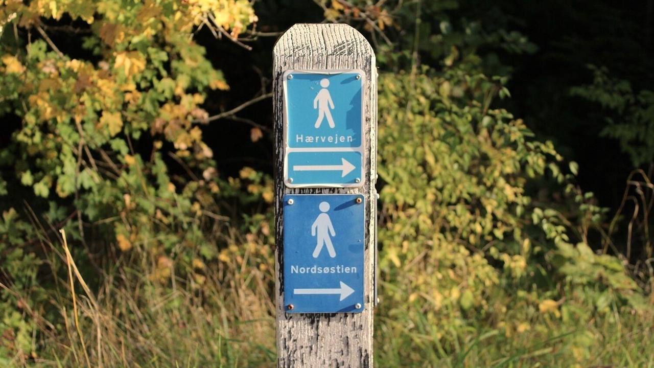 Photo of Outdoor in Frederikshavn