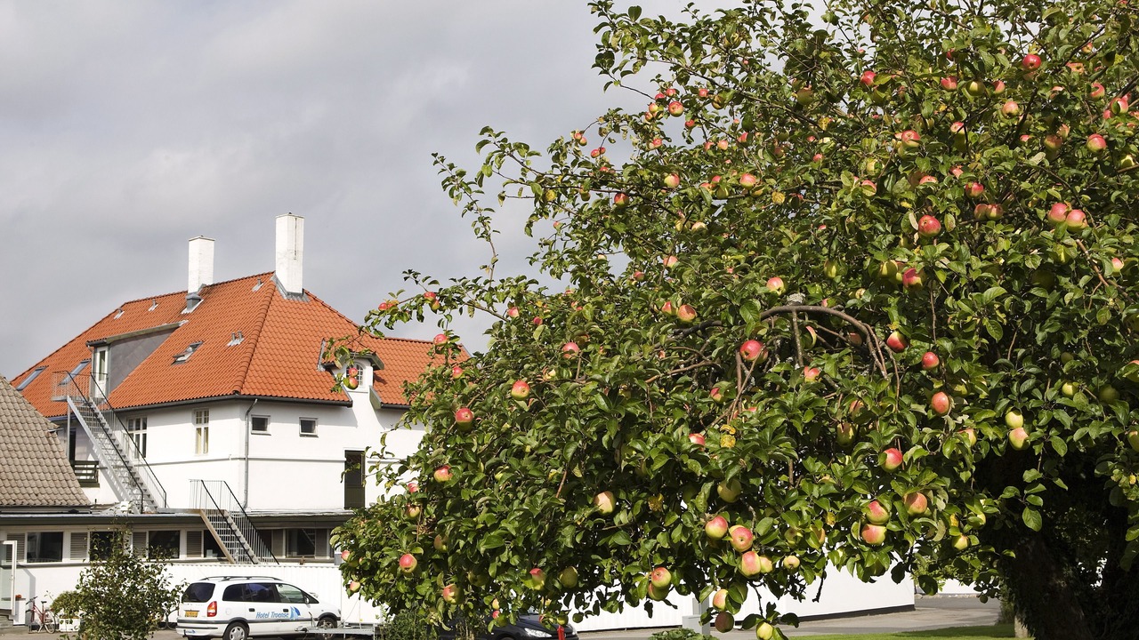 Photo of Outdoor in Troense