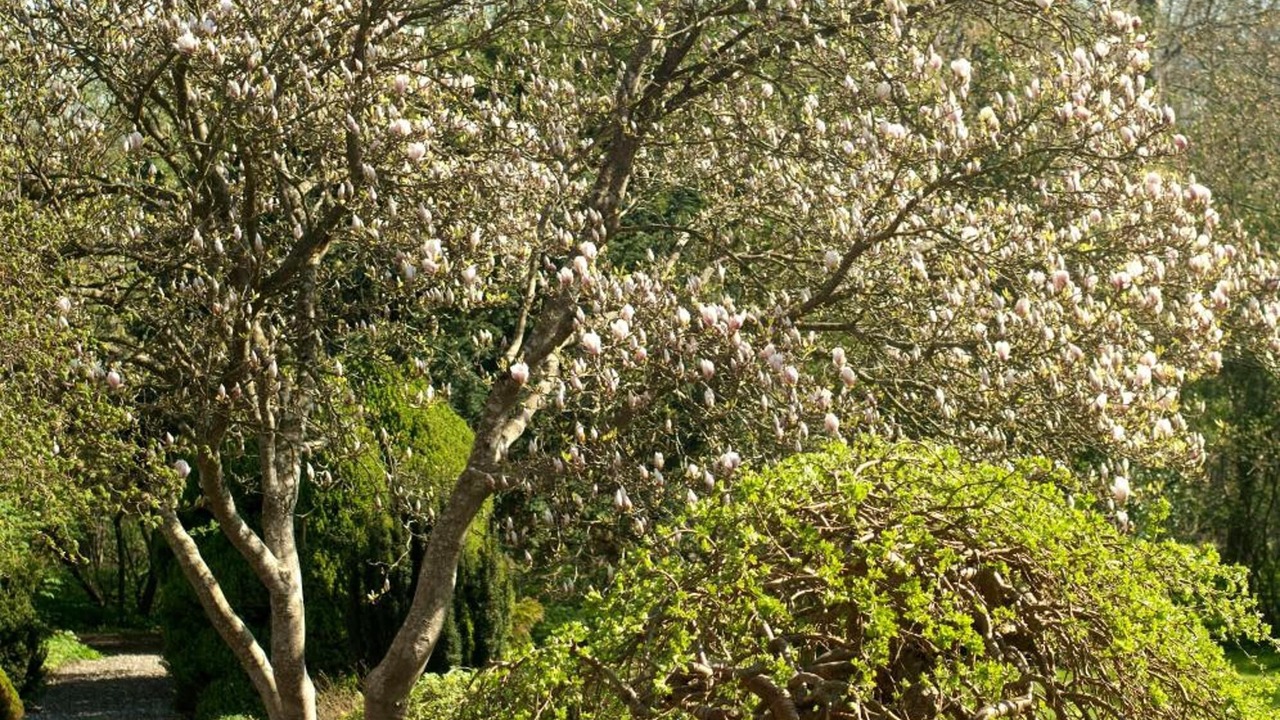 Photo of Outdoor in Purhus