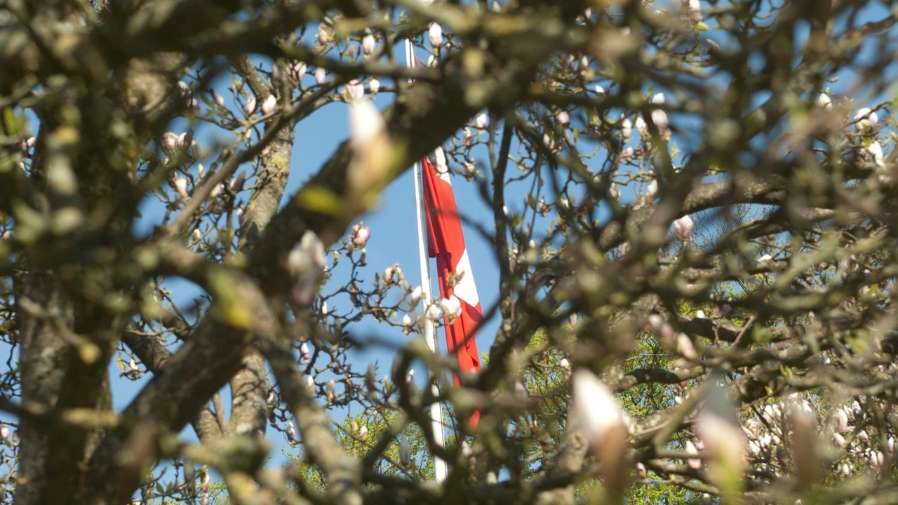 Photo of Outdoor in Purhus