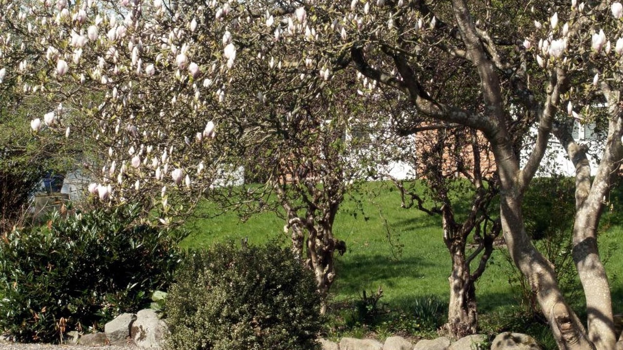 Photo of Outdoor in Purhus