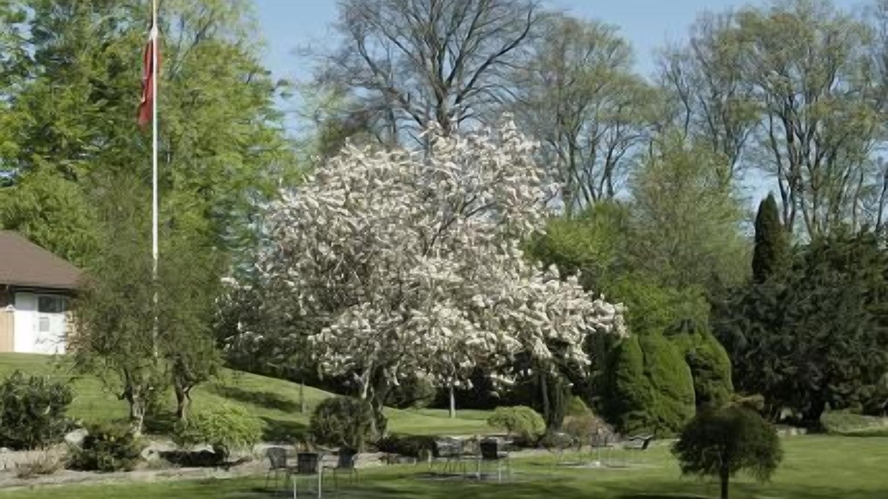 Photo of Outdoor in Purhus