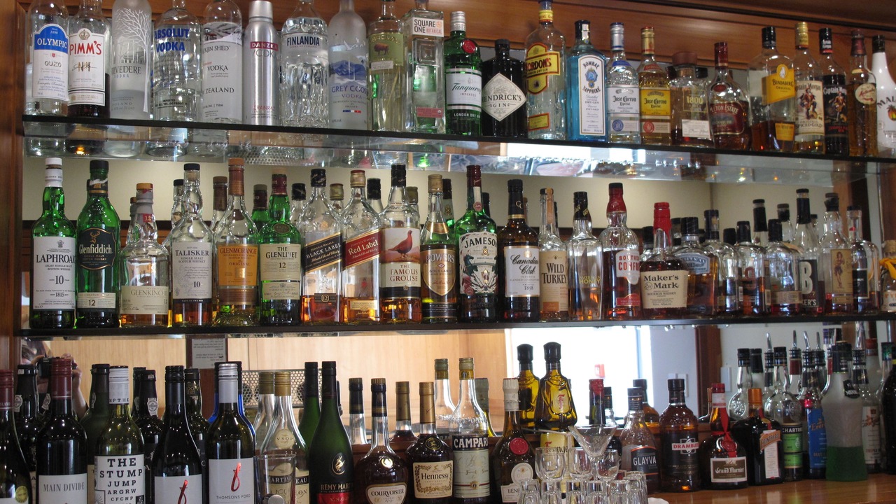 Photo of Others in New Plymouth