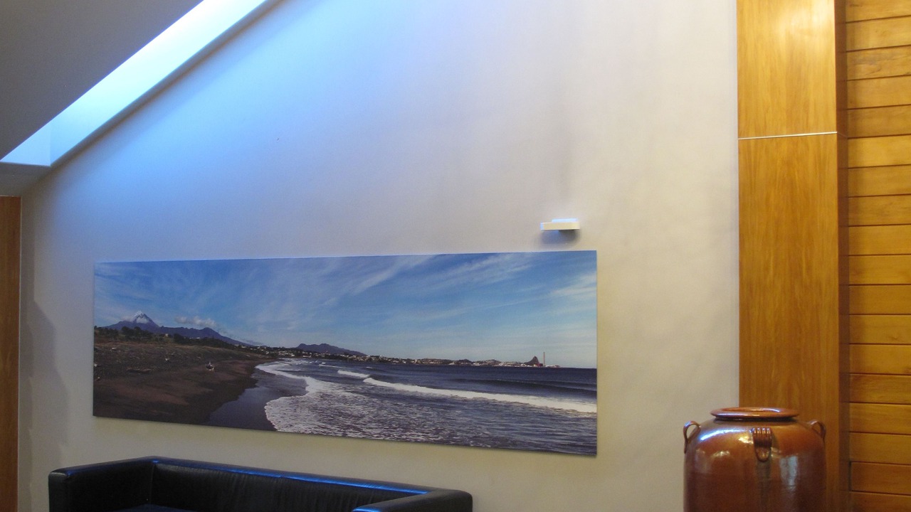 Photo of Others in New Plymouth