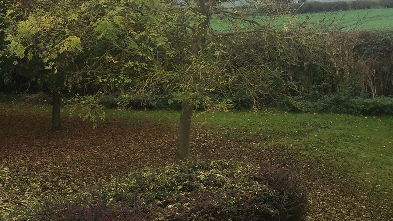 Photo of Outdoor in Morcott