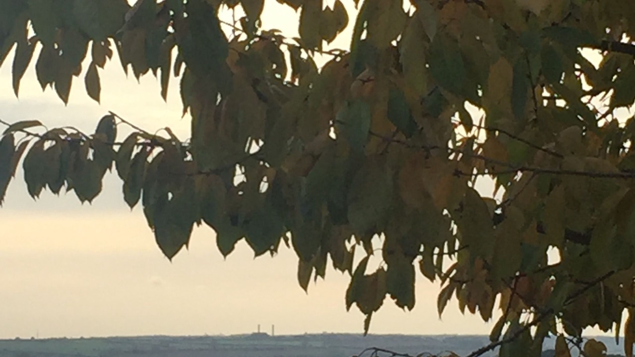 Photo of Bedroom in Morcott