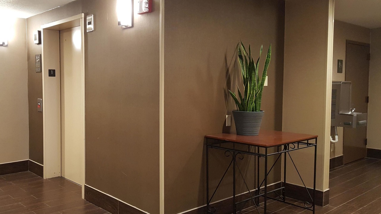 Photo of Others in Cameron