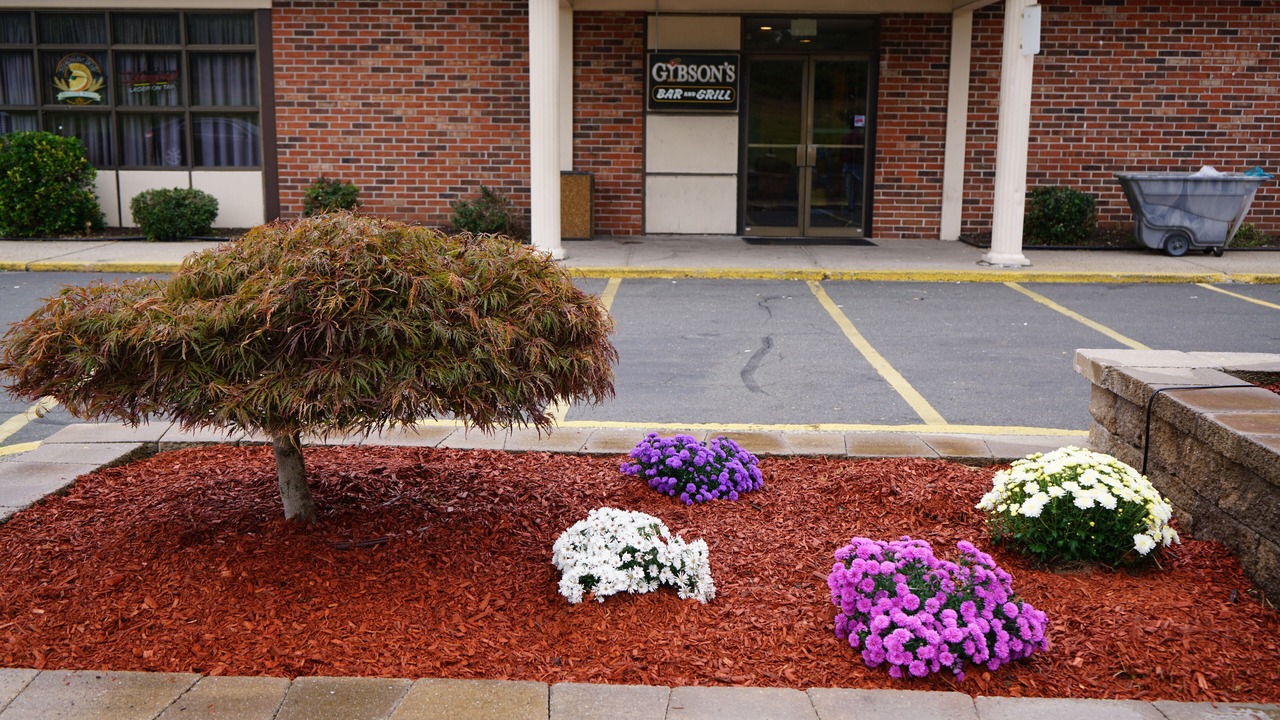 Photo of Outdoor in East Windsor