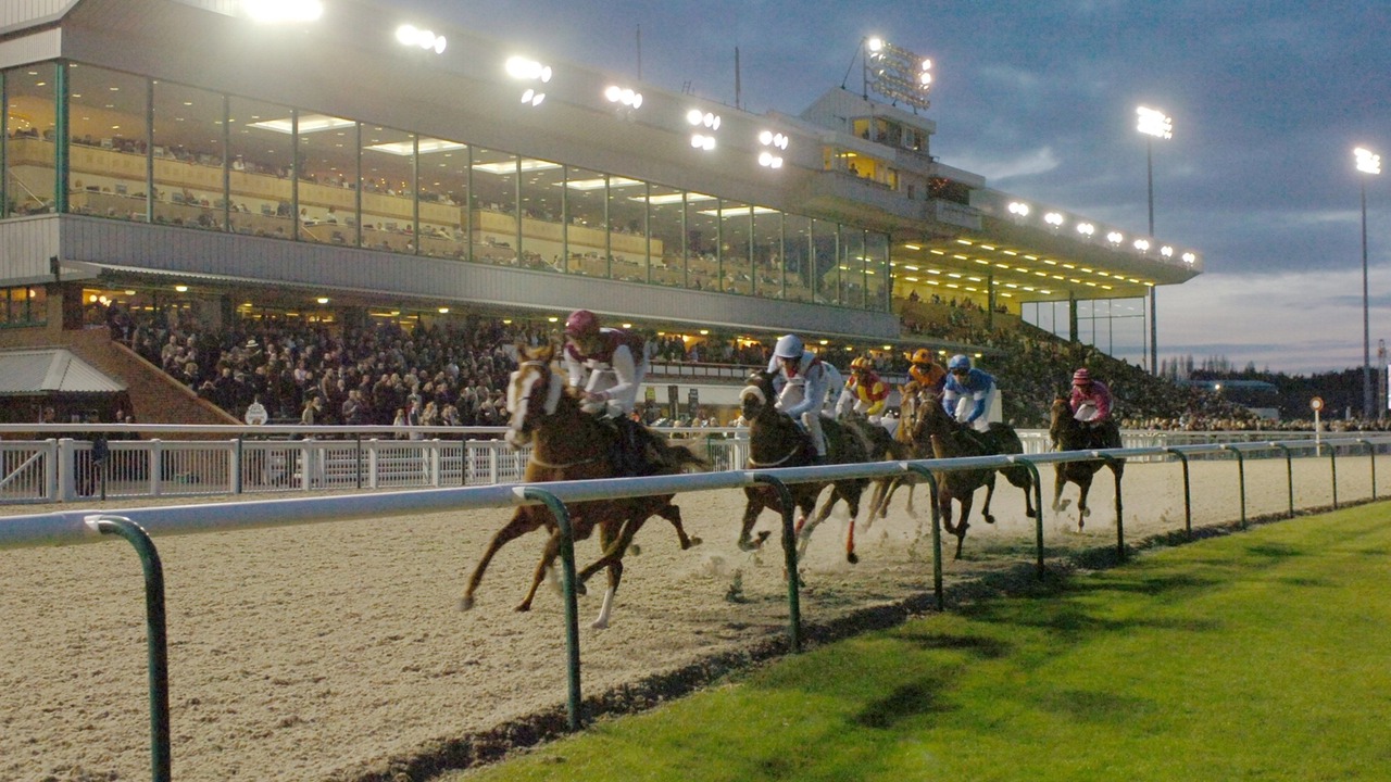 Photo of Others in Wolverhampton