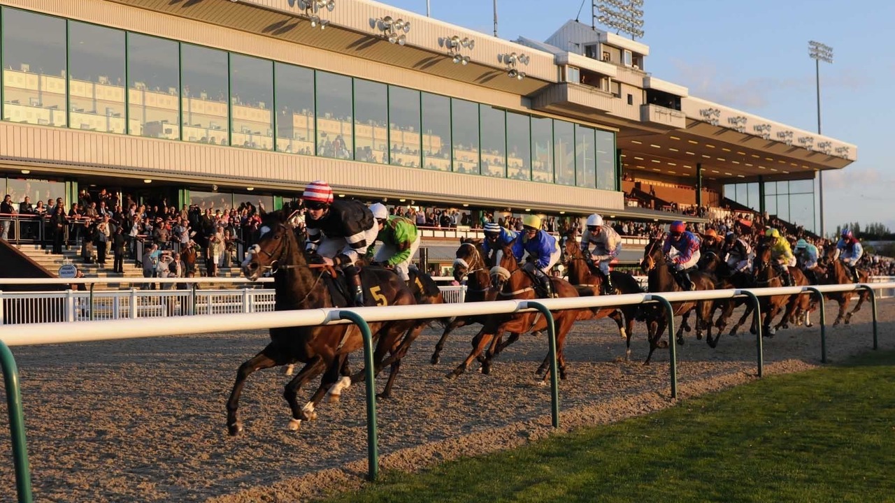 Photo of Others in Wolverhampton