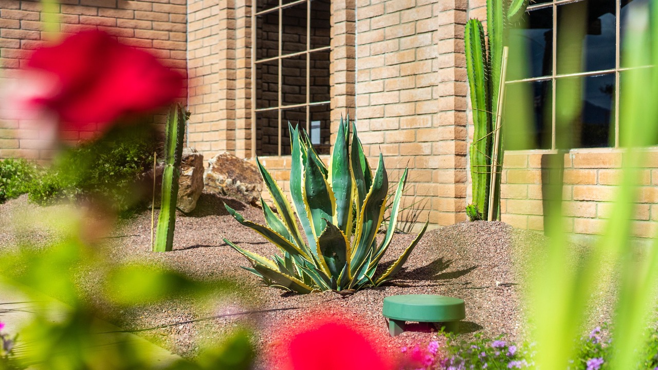 Photo of Outdoor in Sierra Vista