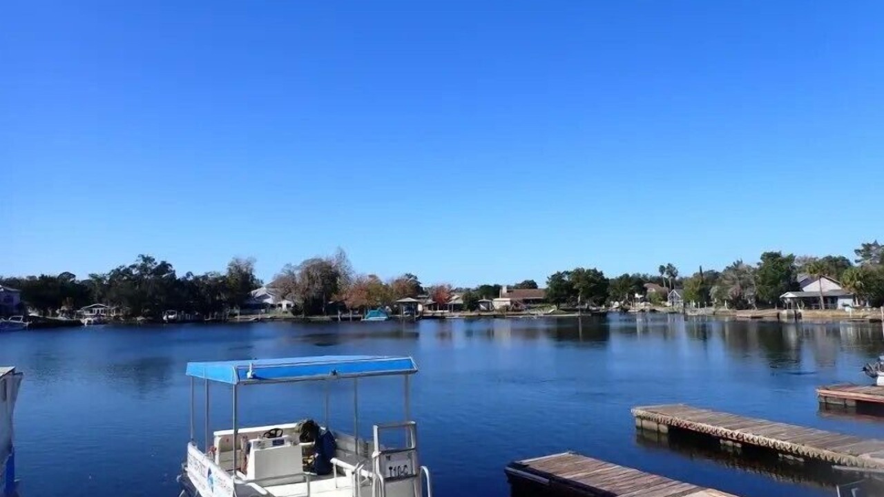 Photo of Outdoor in Crystal River