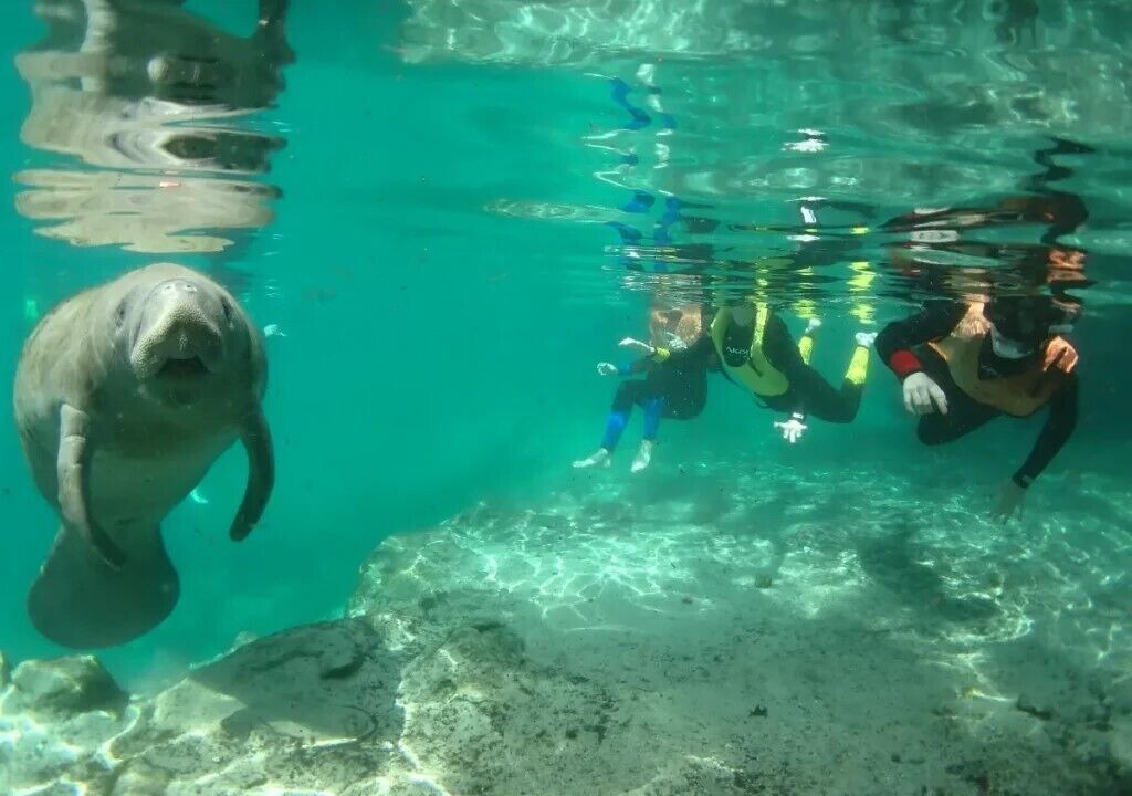 Photo of Others in Crystal River