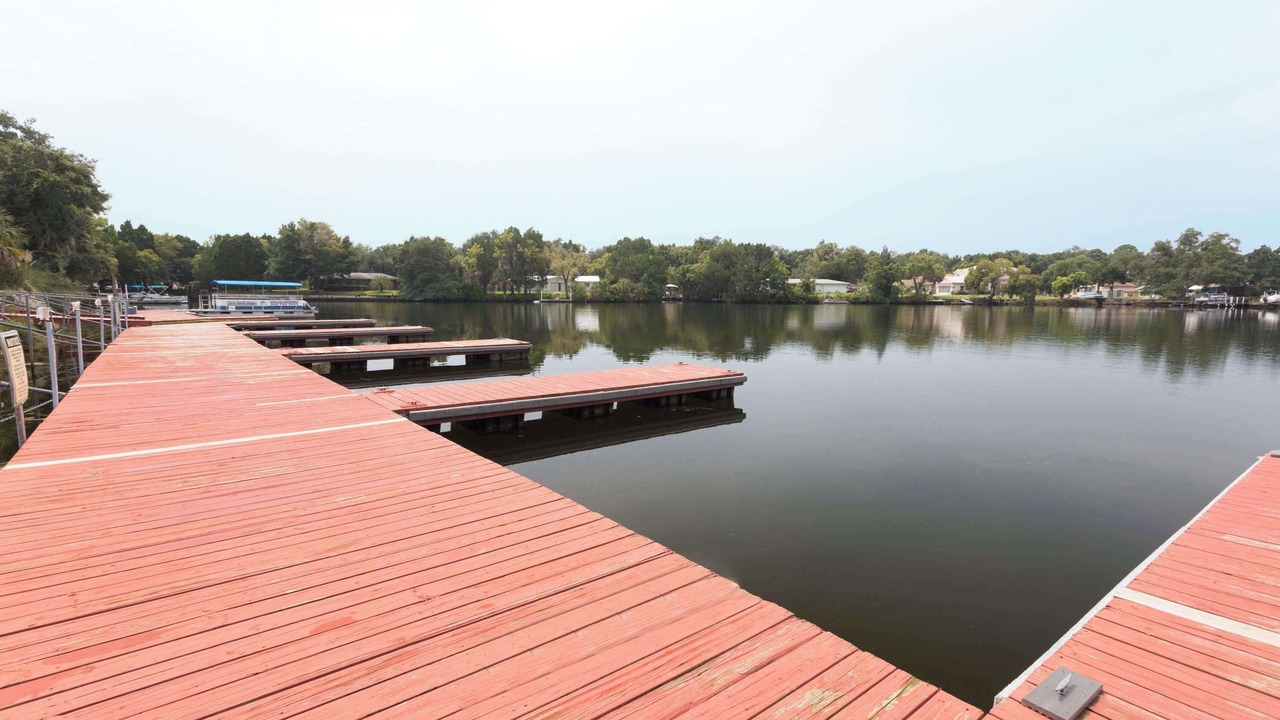Photo of Others in Crystal River